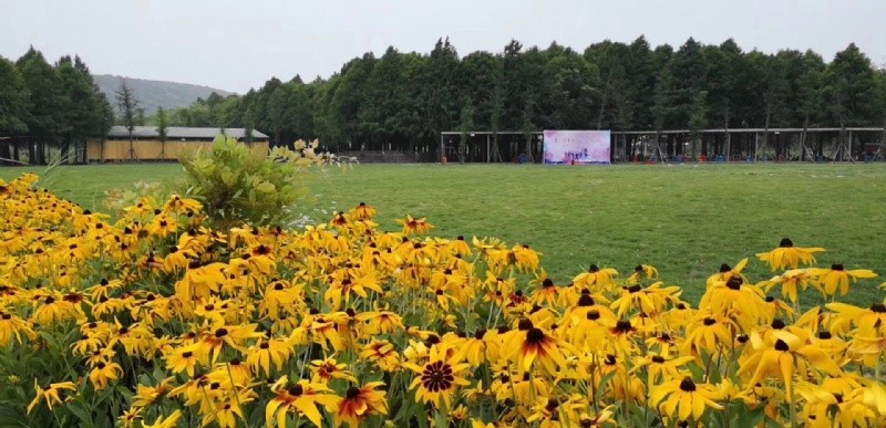 1646097453104431.jpg 2019101255889161.jpg